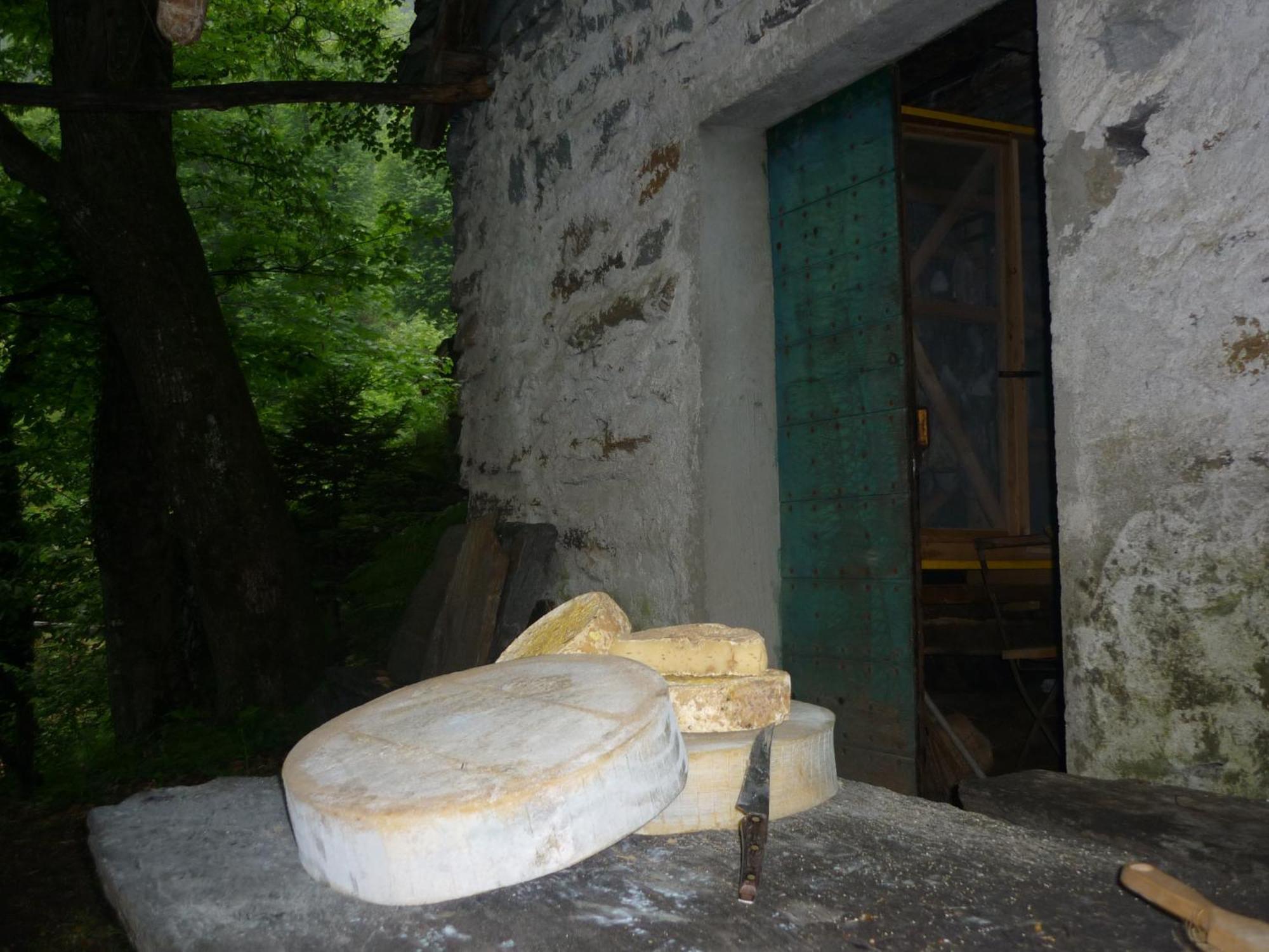 Bed and Breakfast Da Erminia à Verdabbio Extérieur photo