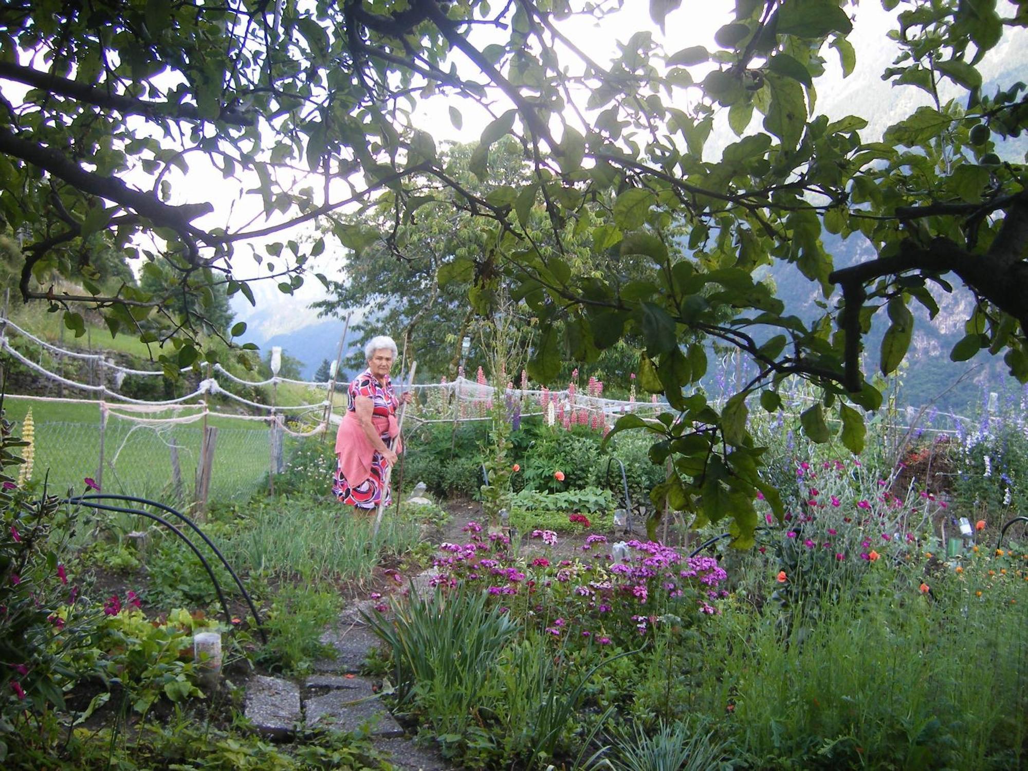 Bed and Breakfast Da Erminia à Verdabbio Extérieur photo